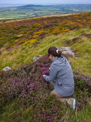 caitlin-wales-2016-1-of-8