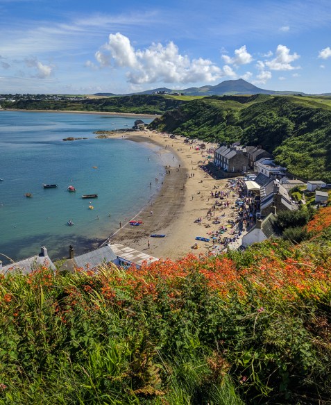 caitlin-wales-2016-2-of-8