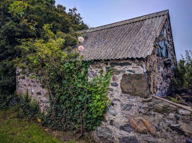 caitlin-wales-2016-5-of-8