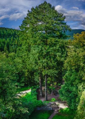 10624064_756437987754664_757099045240407760_o